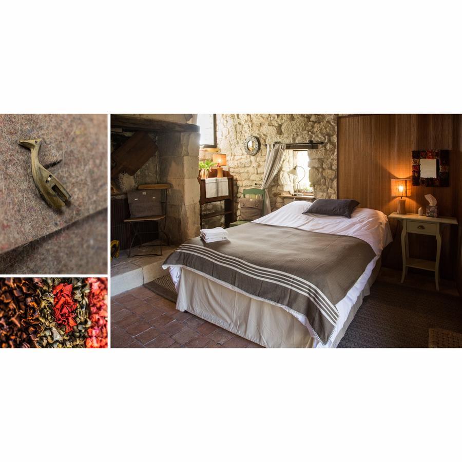 La Grande Maison D'Arthenay Bed & Breakfast Saumur Exterior foto