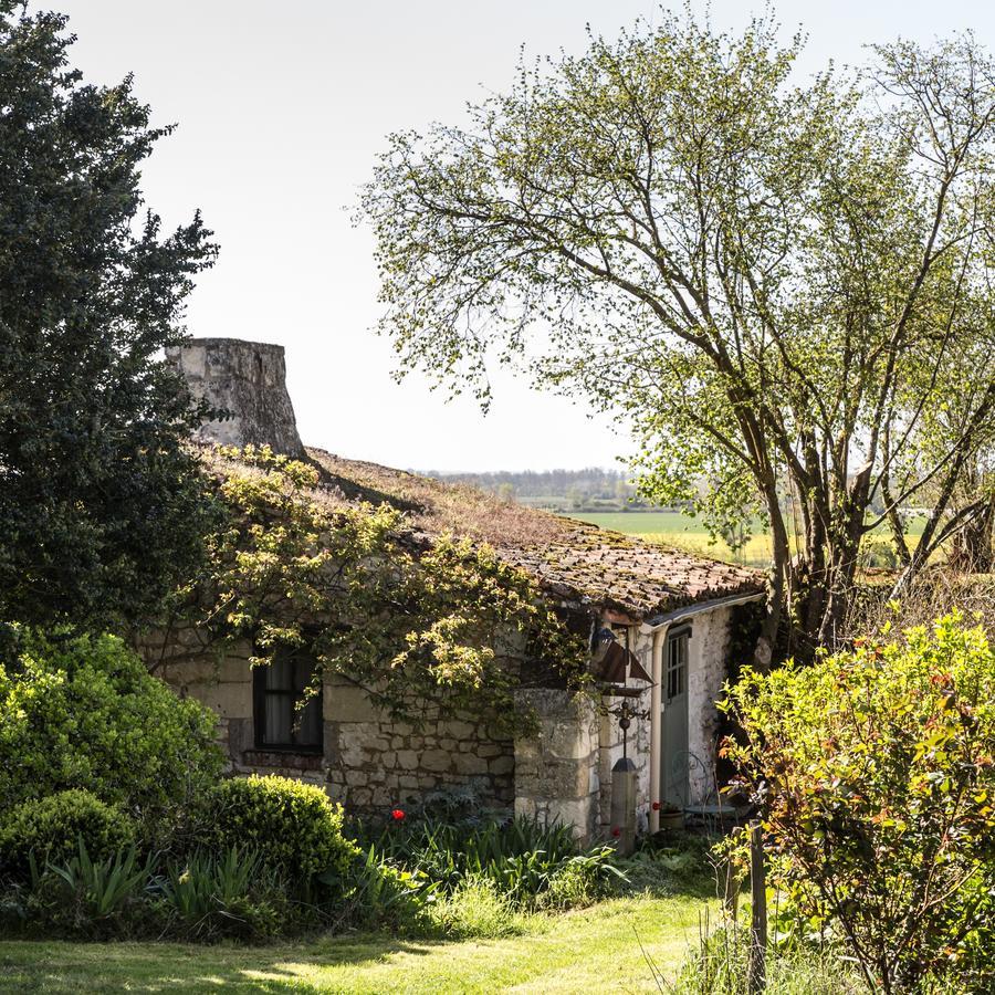 La Grande Maison D'Arthenay Bed & Breakfast Saumur Exterior foto