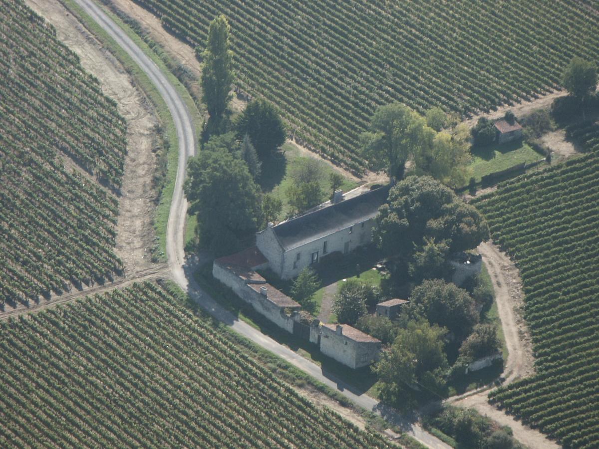 La Grande Maison D'Arthenay Bed & Breakfast Saumur Exterior foto